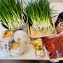마카롱여사 이영자 파김치담그고, 냉장고 파먹기, 여수 나들이✨, 논산딸기축제🍓 다녀온 3월 상반기 일상
