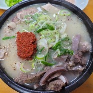 수원역 순대국 골목 돼지머리 국밥 맛집 90년 전통 일미식당