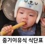 중기이유식 1단계 2단계 식단표 및 스케줄, 재료, 간식 총정리