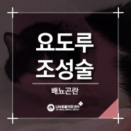 [부산 고양이 전문병원 / 부산 수술 동물병원] 고양이 배뇨곤란 혈뇨증상 요도루조성술