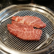 [신정네거리역 맛집] 고급 육고기의 향연 육갑식당 / 명가들깨칼국수 본점