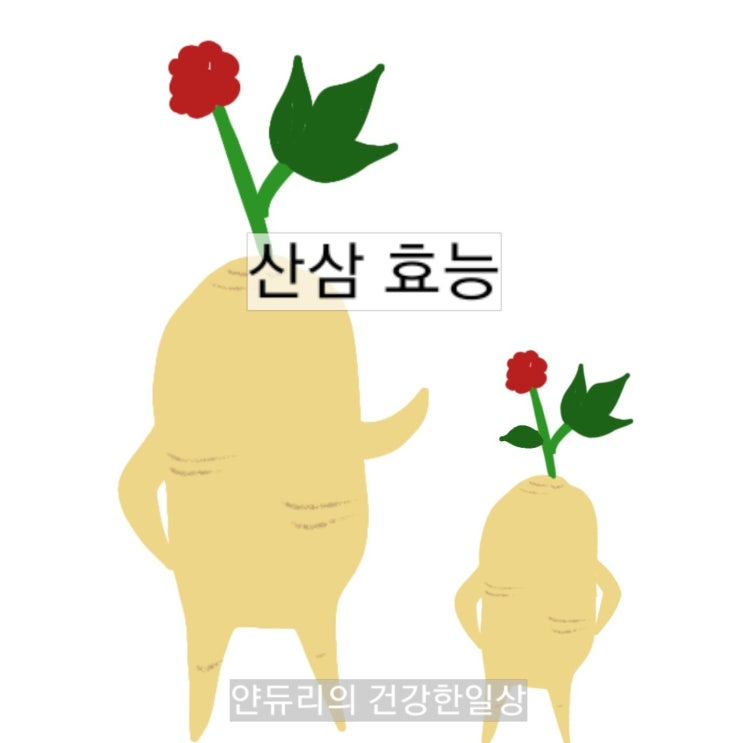 산삼효능- 최적의 건강을 위한 산삼복용법 : 네이버 블로그