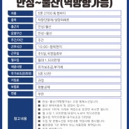 [마감]울산-안성/KCC 차량단열재/고정월대 1,500만+유가보조금