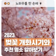 2023 벚꽃 개화시기와 추천 명소 알아보기 (Feat. 벚꽃 개화시기 지도)