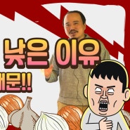 마늘, 양파 요소비료와 NK비료가 수확량을 낮춘다.(2부) | 야라코리아