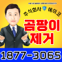 아파트 천장 누수곰팡이 생겼을때, 베란다 결로페인트칠 비용