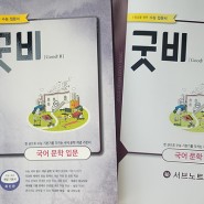 국어 문학입문 - 굿비 수능입문서