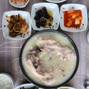 수원맛집 누룽지닭백숙 오계절