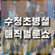 부산 수정초 럭키매직 매직벌룬쇼 하이라이트 동영상