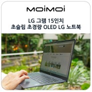 LG 그램 15인치 초슬림 초경량 OLED LG 노트북 추천 15ZD90RT-GX5BK 후기