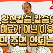 마늘, 양파 추비 제대로 주는 법. 석회, 황산칼슘, 칼슘유황은 칼슘비료가 아니다 | 야라코리