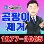 방바닥 습기 곰팡이청소 장판 아래 곰팡이 시공 비용(주택)