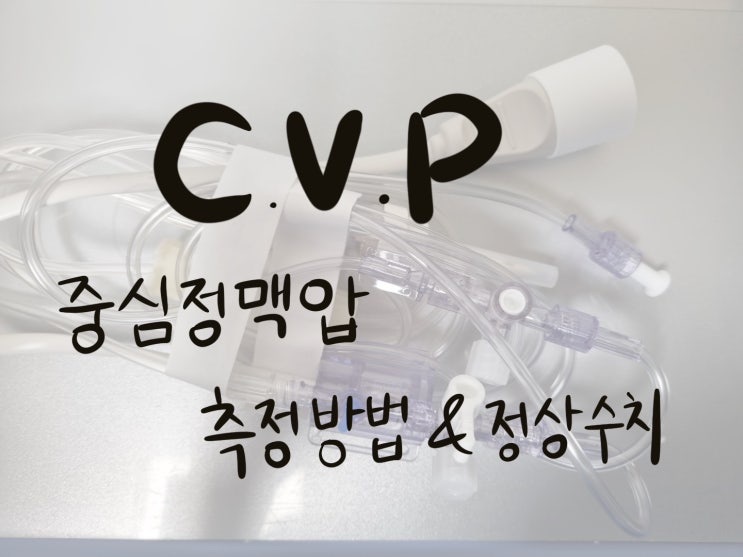 CVP 측정방법 & 정상수치 : 네이버 블로그