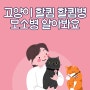 고양이 할큄 할큄병 모소병 알아봐요