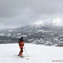 북해도 스키여행 3편 : 니세코(Niseko) 스키장! (2023년 2월)