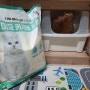 고양에 카사바 모래추천 미묘카사바 사용후기 입니다