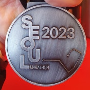마라톤 대회 참가 기록('23 동아마라톤)