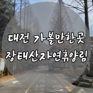 대전 가볼만한곳 장태산자연휴양림