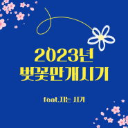2023년 벚꽃 만개 시기(feat.지는 시기)
