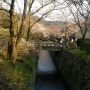 일본여행, 교토의 봄 #교토가볼만한곳