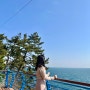 부산 해운대 블루라인파크 스카이캡슐 해변열차 미포철길 산책