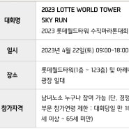 2023 롯데타워 수직마라톤 도전!!(2023 LOTTE WORLD TOWER SKY RUN)