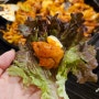 [신도림 맛집] 푸짐한 양은 덤, 숨겨진 철판 닭갈비 찐 맛집, 두메골닭갈비