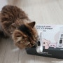 고양이이발기 스마트이온으로 셀프미용 도전!