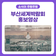[소식이 주렁주렁🍇] 부산세계박람회 홍보영상