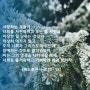 [성경통독] 한나미니스트리 제61일차, 사사기 1장~5장