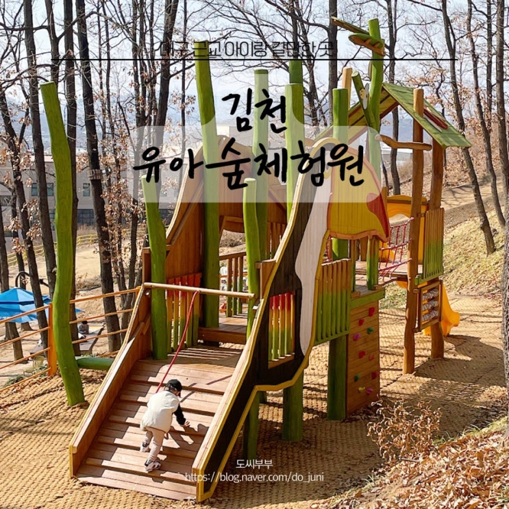 대구 근교 아이랑 김천 유아숲체험원 다녀왔어요