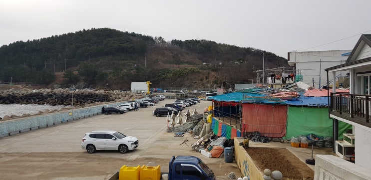 영덕 노물리 해파랑길 산책로 : 네이버 블로그