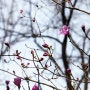 the fragrance of spring #25 - 연둣빛 바람에 다시 설레는 봄날