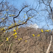 예봉산 운길산_20230320