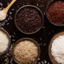 [트릿지 분석] 전세계적 물가 상승 추세에서 쌀 가격은 어떨까?