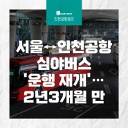 [인천공항 광고] 서울↔인천공항심야버스'운행 재개'…2년3개월 만