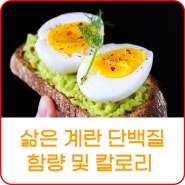 삶은계란 단백질 함량과 칼로리 확인