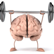 [방배역 PT 어반헬스] 뇌생리학 : 우리가 근육에 자극을 느끼는 매커니즘