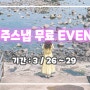 [제주스냅] 제주스냅 무료촬영 EVENT ( 3/26 ~ 29 )