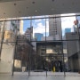 뉴욕 현대미술관 모마/ 링컨센터 발레 호두까기인형
