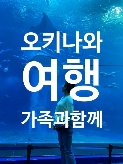 3/8-11 오키나와여행(2-1) (북부여행-츄라우미빌리지/기시모토식당/츄....