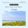 제주 유채꽃 명소 3월~4월의 서우봉, 함덕해변, 망오름정상