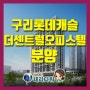 구리역 롯데캐슬 더센트럴 오피스텔 분양(feat.경의중앙+8호선 더블역세권)