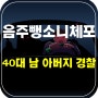 경찰차량 7대 들이받은 음주 뺑소니범 운전자 현행범 체포 40대 남성 8명 경상 "내 아버지 경찰이야"