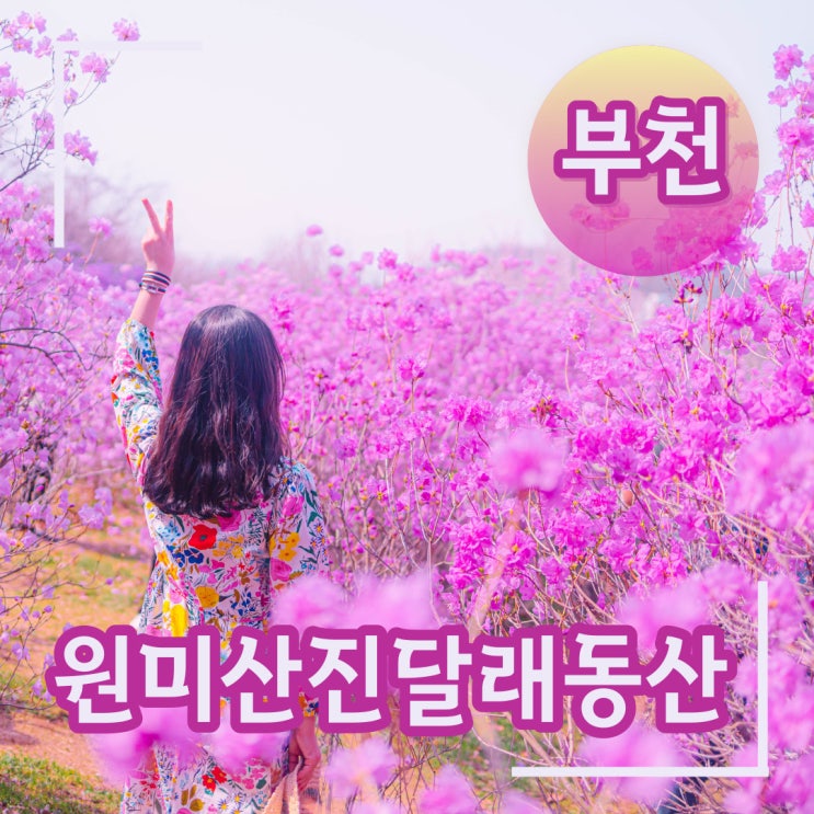 부천 진달래동산 원미산 꽃구경 진달래 축제 미리 보기 : 네이버 블로그