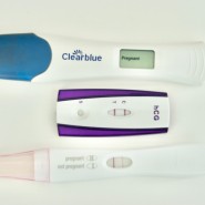 [공유]hCG 호르몬 수치 및 임신 테스트기 관련 정보 모음.zip