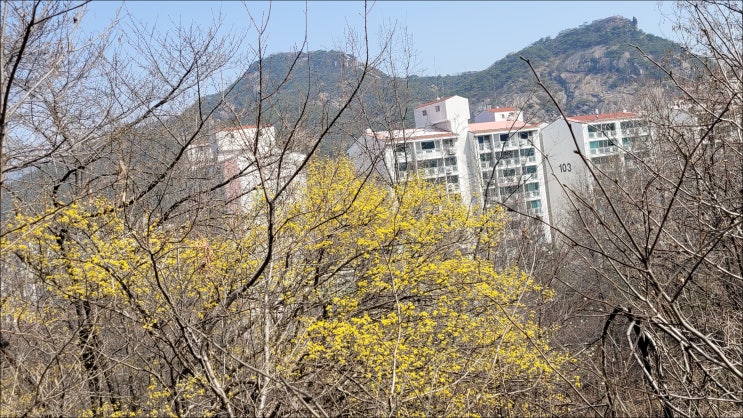 [봄에 걷기 좋은 길]서울 안산 자락길 트레킹!! : 네이버 블로그