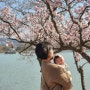 3월 경주 아기랑 꽃구경하기 좋은 보문단지.