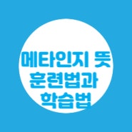 메타인지 훈련법 학습법