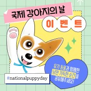[이벤트] 친필사인본 증정★ 국제 강아지의 날 봉봉과 함께해요!